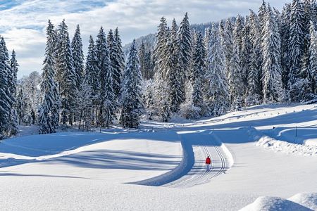 Schweizerhof Kitzbühel - Winter sports